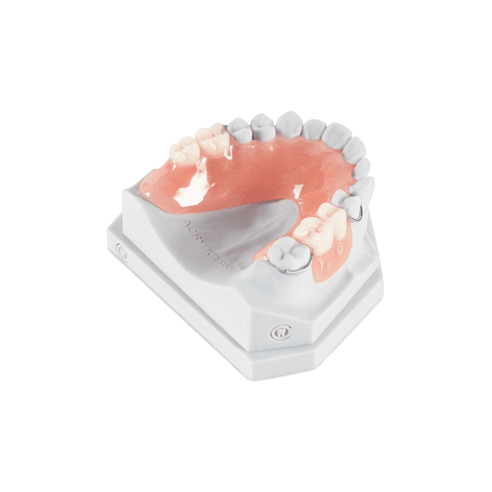 Denture Rebase